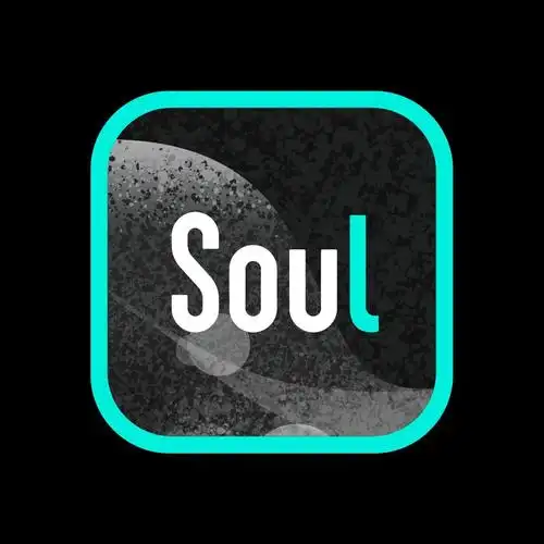 soul灵魂保1 新老号都可以次日结-第一人副业官方博客